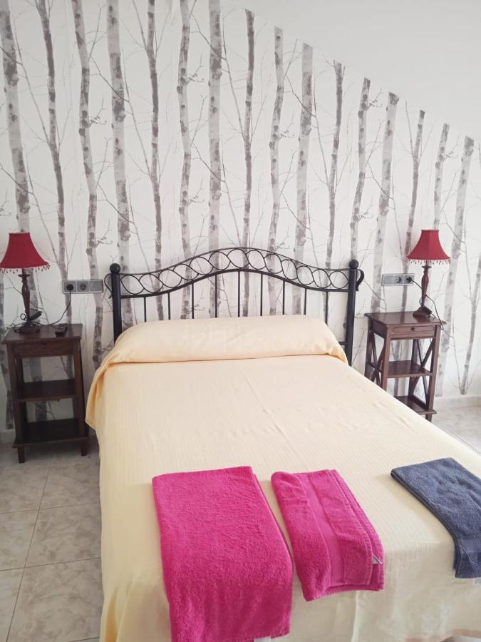 Hotel Pisuerga 普罗阿萨 外观 照片