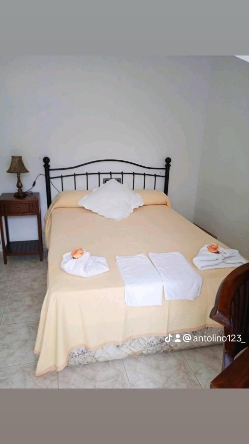 Hotel Pisuerga 普罗阿萨 外观 照片