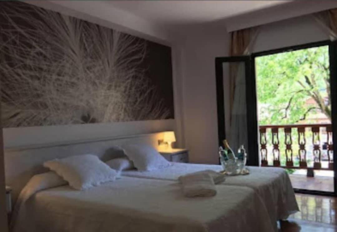 Hotel Pisuerga 普罗阿萨 外观 照片